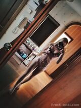 Миниатюра Индивидуалка Алина Центр Фотография 